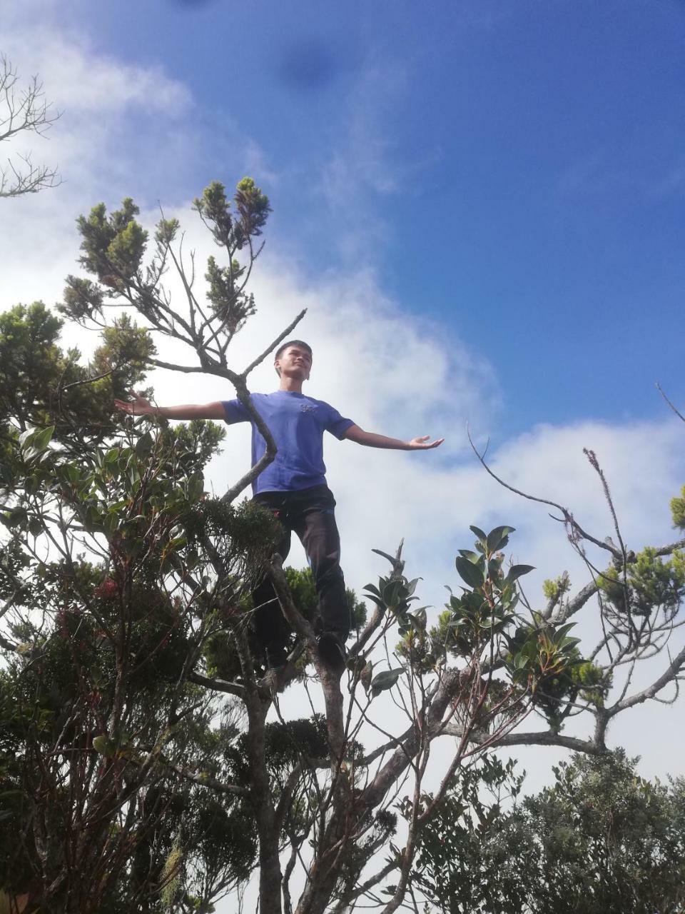 Strawberry Rest House Mesilou Kundasang Luaran gambar